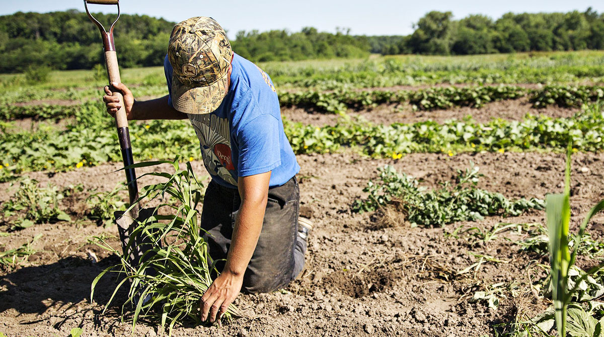 Cargill to Pay Growers for Carbon-Friendly Farming Methods | Transport ...