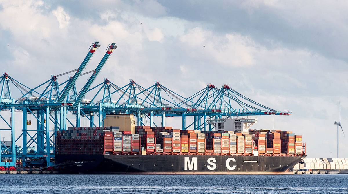 MSC Launches Air Cargo Business | Transport Topics