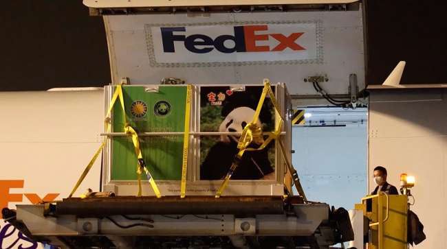 Pandas FedEx