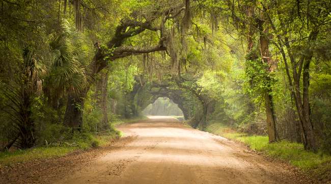 Rural road in South Carolina