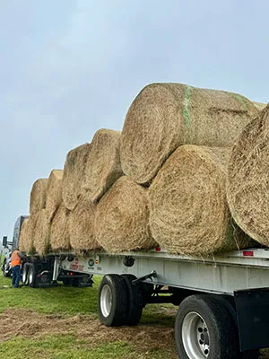 Truck hauling hay