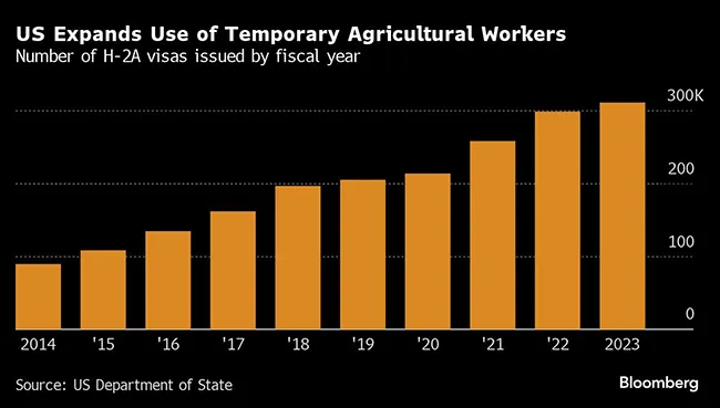 Ag visas