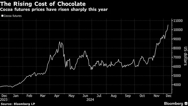 cocoa prices