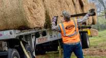 Trucker straps down hay