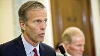 John Thune