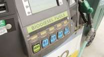 Biodiesel pump