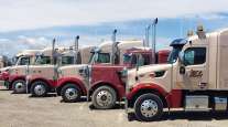 Watt & Stewart trucks