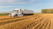 truck in wheat field