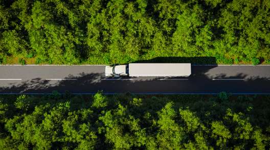 Truck on forest road