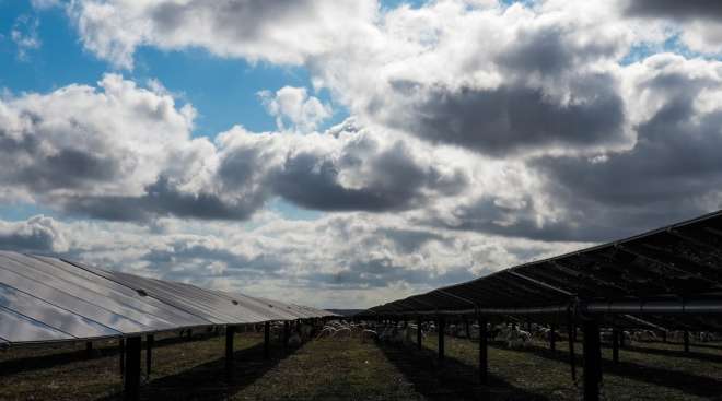 Solar farm