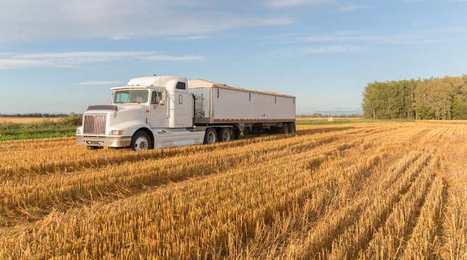 truck in wheat field